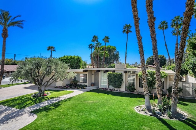 ranch-style house featuring a front yard