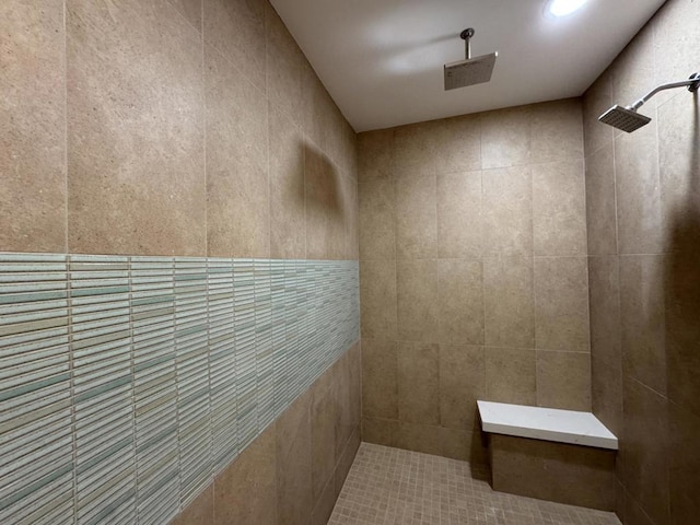 interior space with walk in shower