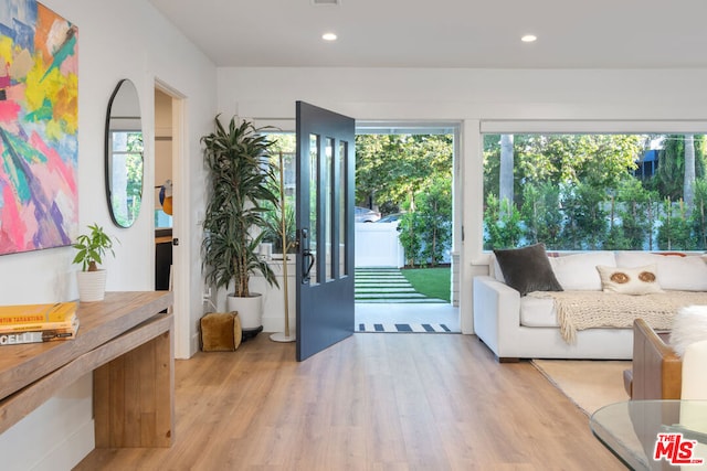 doorway featuring light wood-type flooring