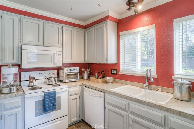 kitchen with plenty of natural light, sink, white appliances, and crown molding