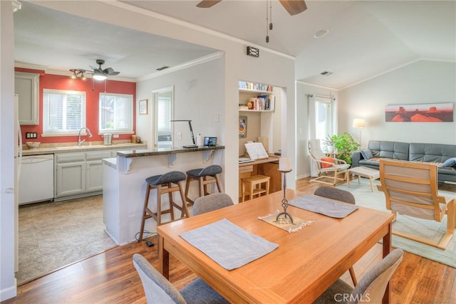 dining space featuring lofted ceiling, light hardwood / wood-style floors, sink, ornamental molding, and ceiling fan