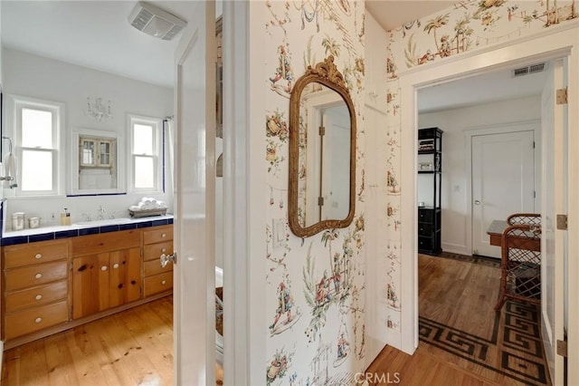 bathroom with vanity and hardwood / wood-style flooring