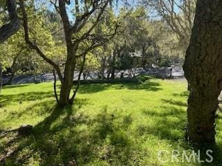 Listing photo 2 for 0 Astor Ave, Cambria CA 93428