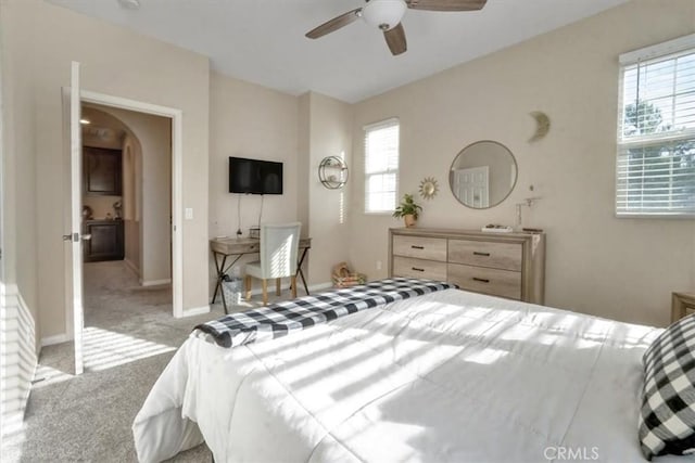 carpeted bedroom with ceiling fan and multiple windows