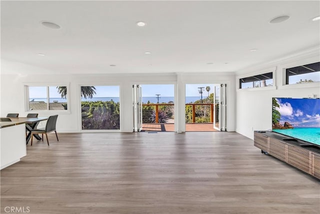 unfurnished living room with wood-type flooring