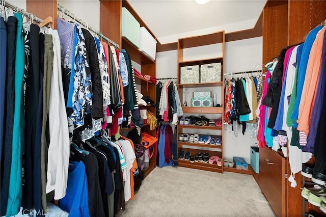 walk in closet featuring light carpet