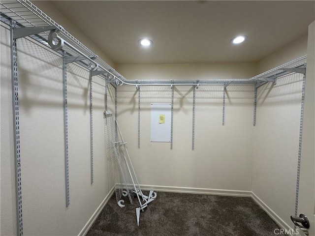 walk in closet with carpet