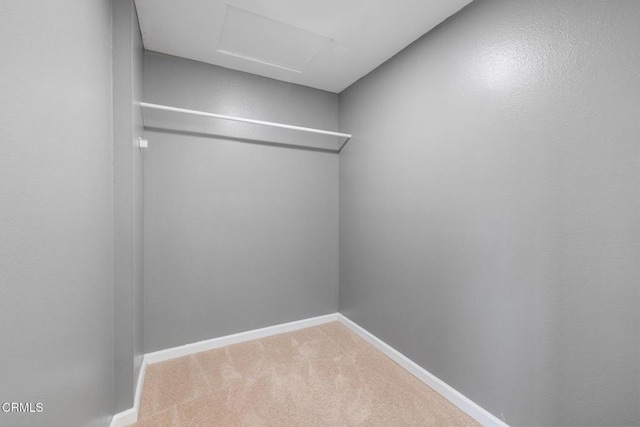 spacious closet with carpet