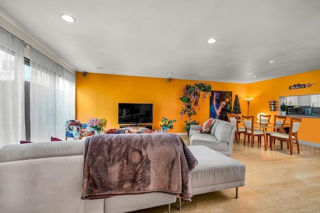 living room featuring light hardwood / wood-style floors