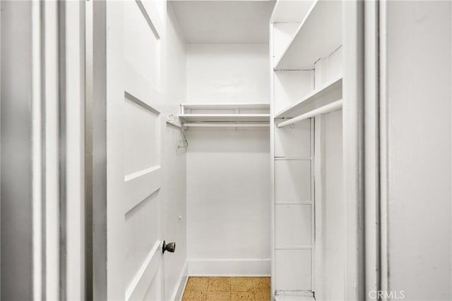 view of spacious closet