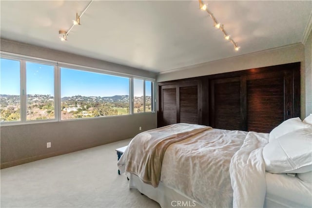 carpeted bedroom featuring track lighting, multiple windows, and a mountain view