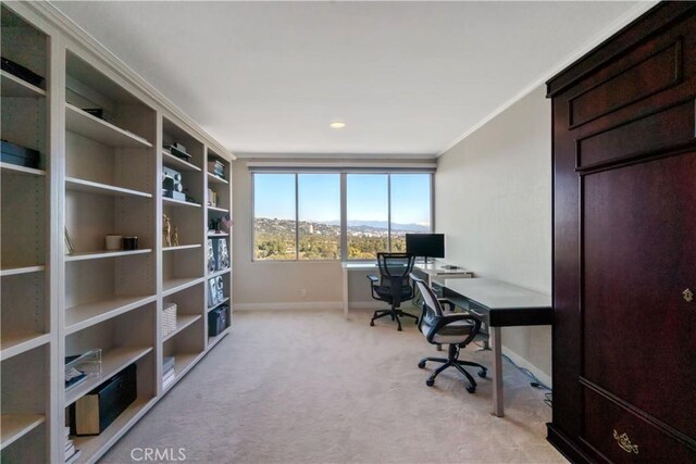 office featuring crown molding and light colored carpet