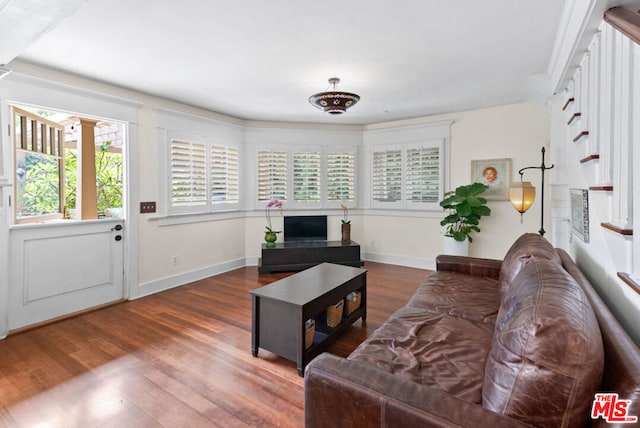 living room with dark hardwood / wood-style floors