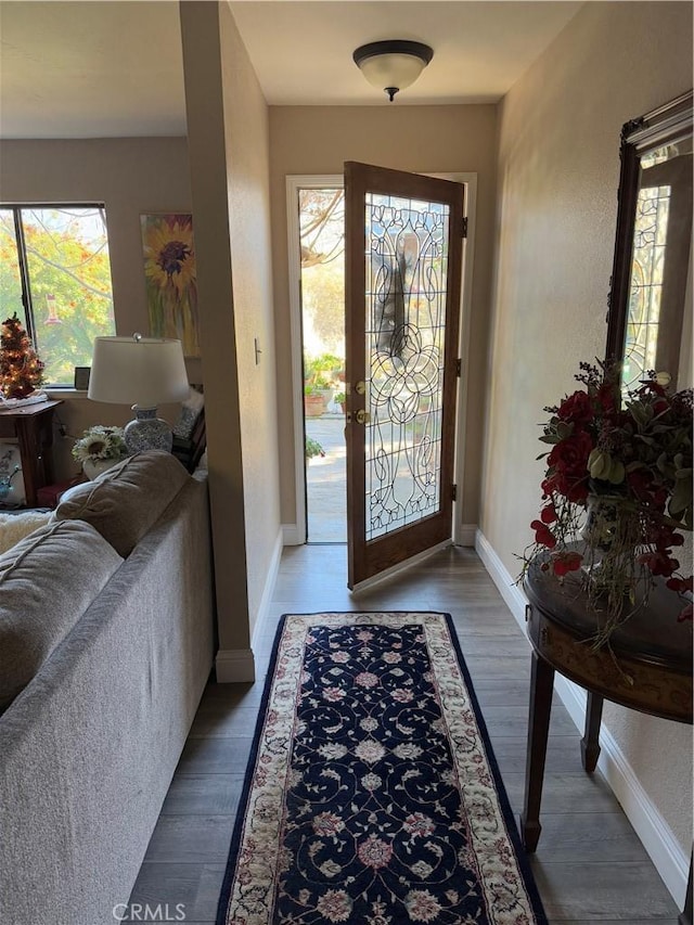 foyer with hardwood / wood-style flooring and a wealth of natural light