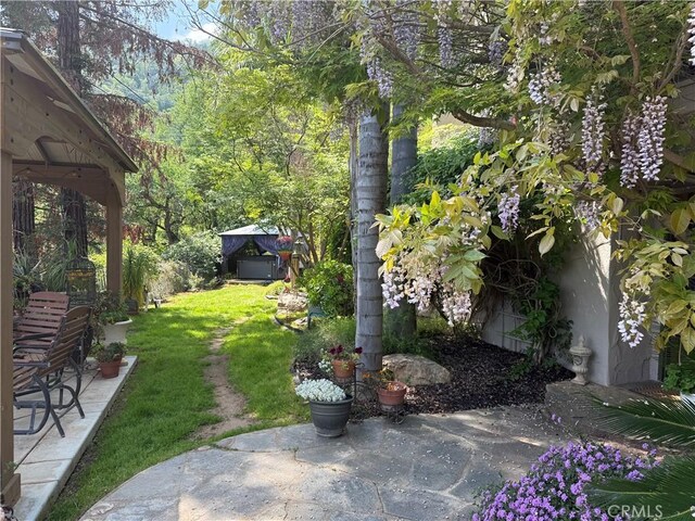 40820 Oak Ridge Dr, Three Rivers, CA 93271 - photo 44