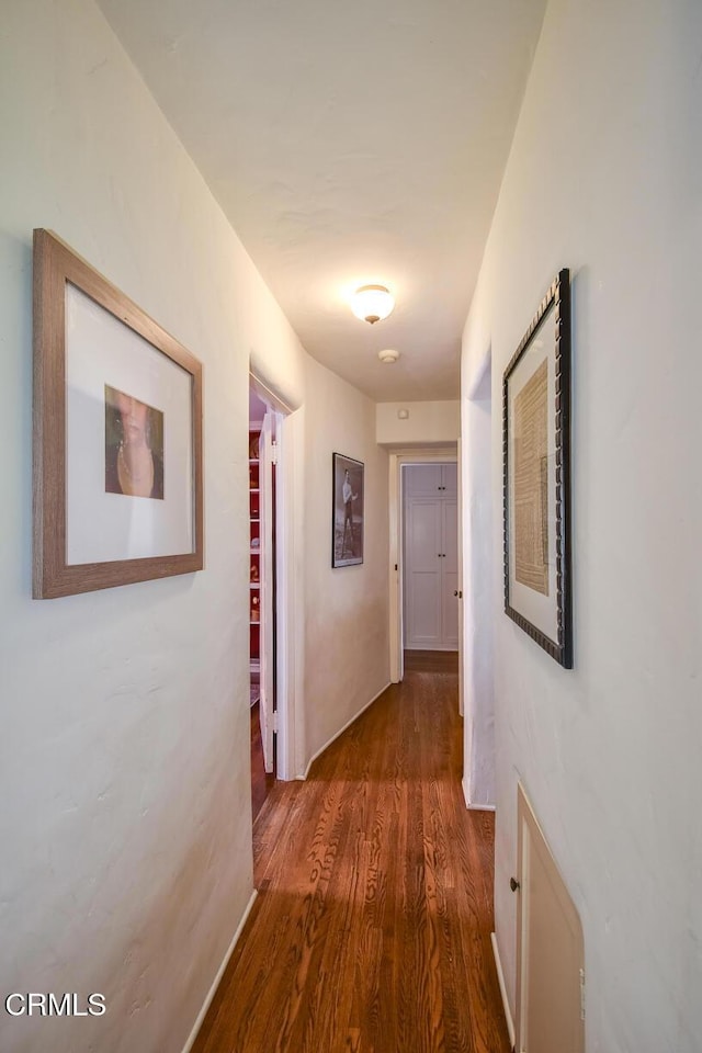 hallway with dark hardwood / wood-style floors