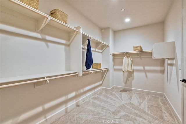 spacious closet featuring carpet flooring