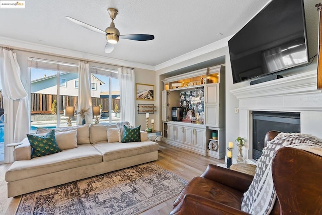 living room featuring ceiling fan, ornamental molding, and light hardwood / wood-style flooring