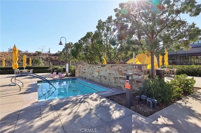 view of swimming pool with a patio