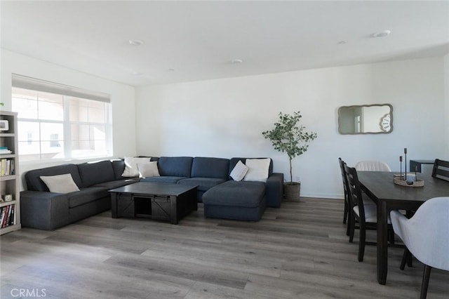 living room with hardwood / wood-style flooring