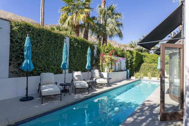 view of swimming pool featuring a patio