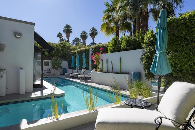 view of pool with a patio