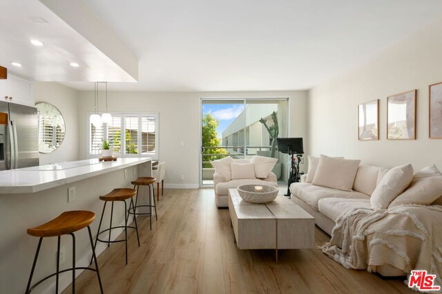 living room with light hardwood / wood-style flooring