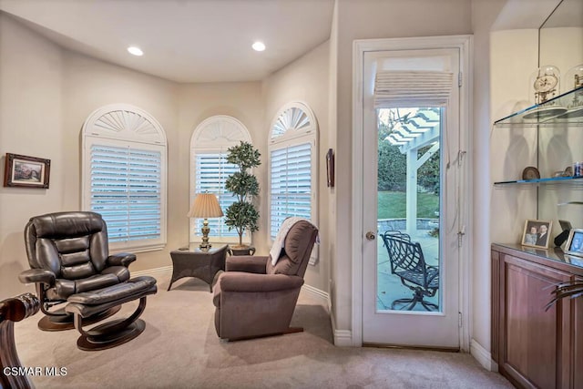 living area with carpet floors