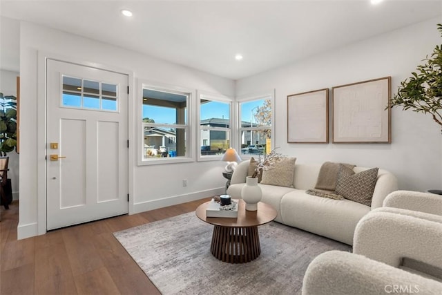 living room featuring hardwood / wood-style floors