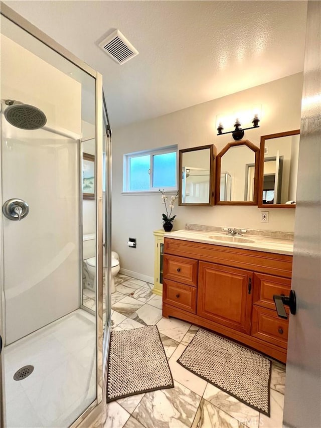 bathroom featuring toilet, vanity, and walk in shower