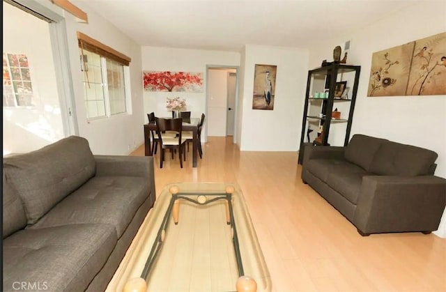 living room with hardwood / wood-style flooring