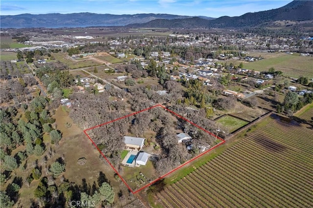 bird's eye view featuring a mountain view