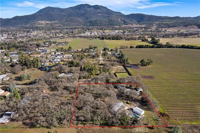 birds eye view of property featuring a mountain view and a rural view