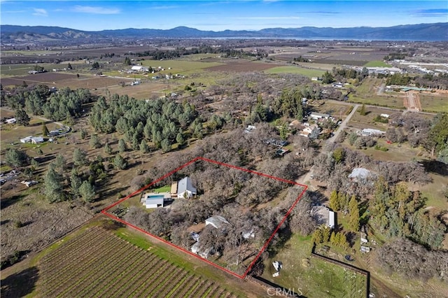 drone / aerial view featuring a mountain view and a rural view