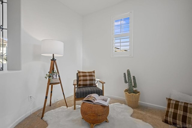 living area with carpet