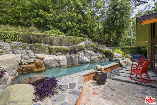 view of swimming pool with a patio area