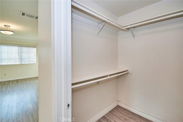 spacious closet featuring hardwood / wood-style floors