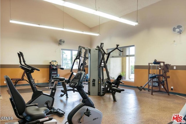 workout area with lofted ceiling