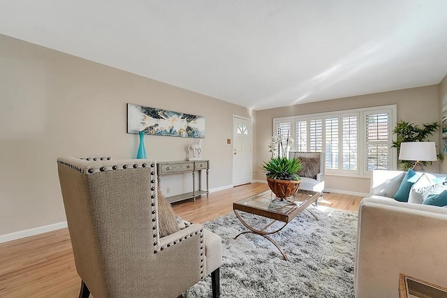 living room featuring light hardwood / wood-style flooring