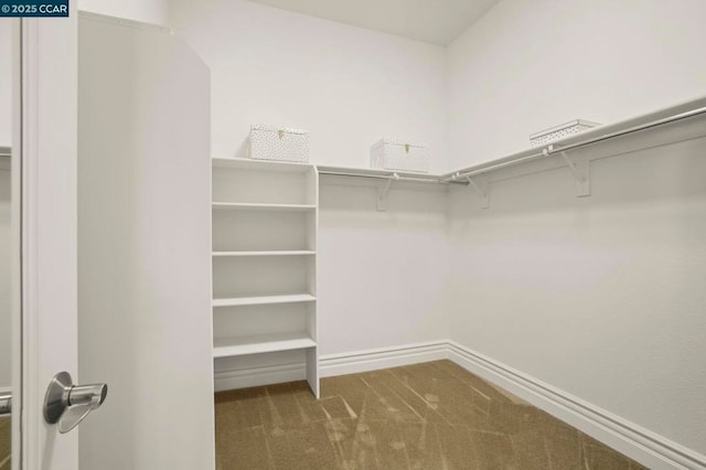 walk in closet with dark carpet