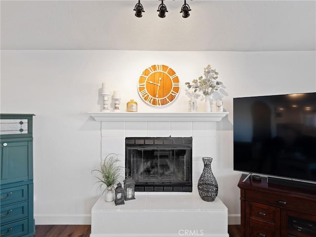 room details featuring a fireplace and hardwood / wood-style floors