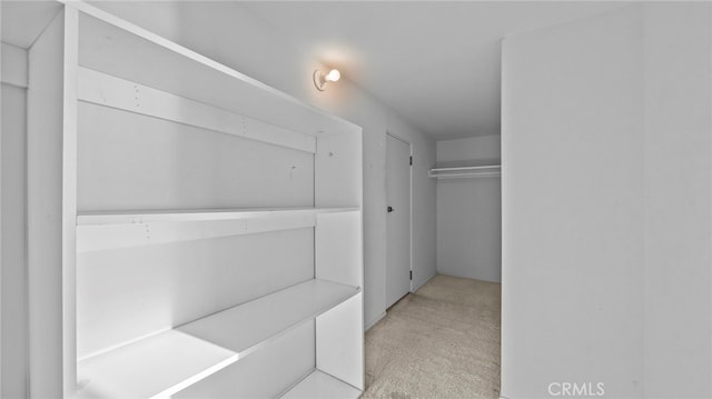 spacious closet featuring light colored carpet