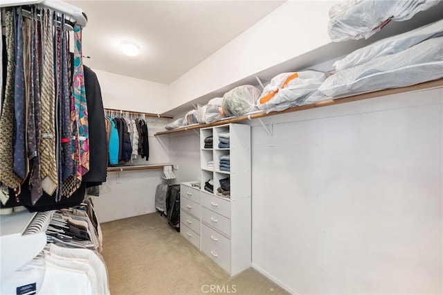 walk in closet featuring light carpet