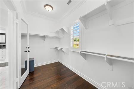 walk in closet featuring dark wood-type flooring