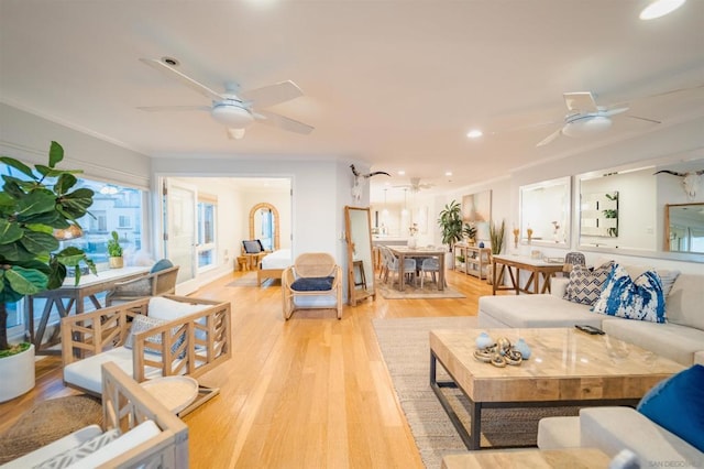 living room featuring ceiling fan, light wood-type flooring, and ornamental molding