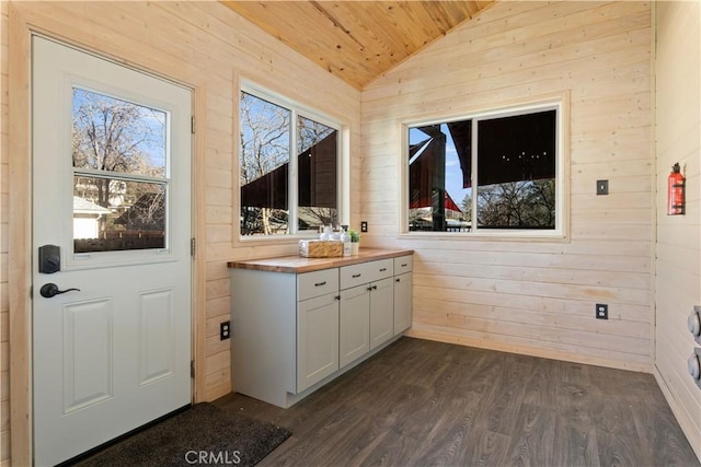 washroom with dark hardwood / wood-style floors, wood ceiling, and wood walls