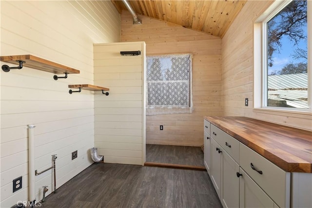 clothes washing area with wood ceiling, dark hardwood / wood-style flooring, and wooden walls