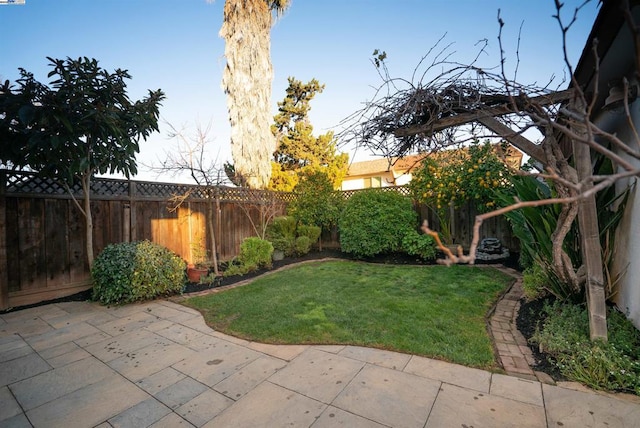 view of yard with a patio area