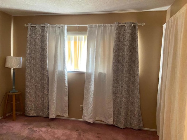 spare room featuring carpet floors and a textured ceiling