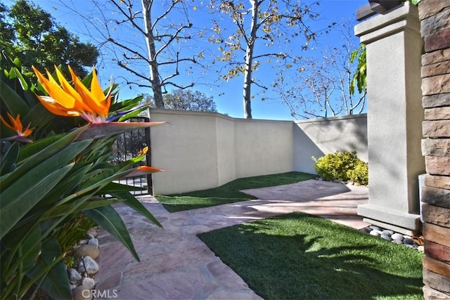 view of yard featuring a patio